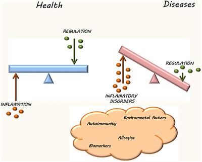 Editorial: Immune system disorders: from molecular mechanisms to clinical implications